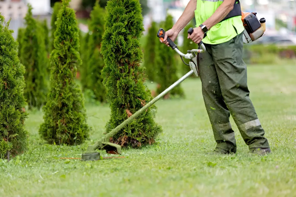 Paysagiste à Roquelaure