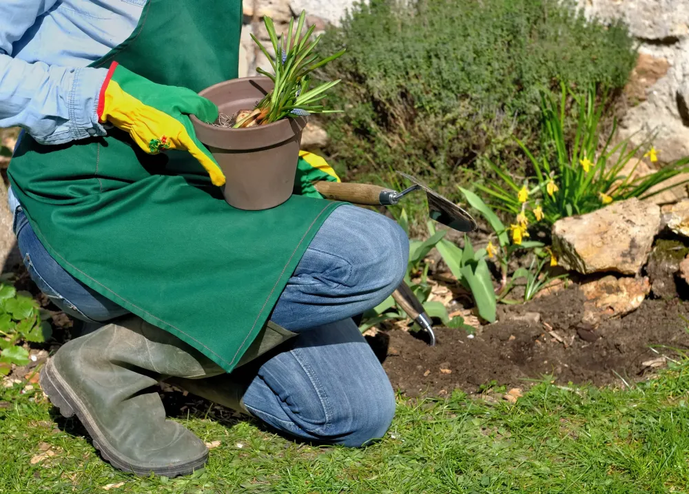 Décoration jardin à Roquelaure