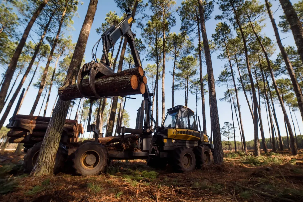 travaux-forestiers-1