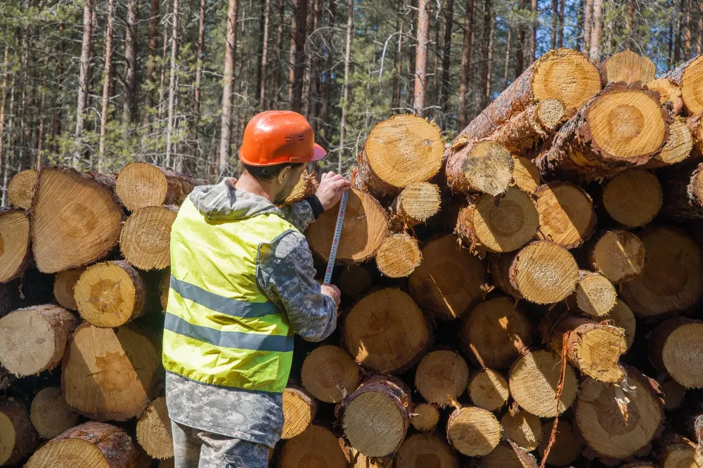Débroussaillement & broyage : préparer un chantier sûr et efficace