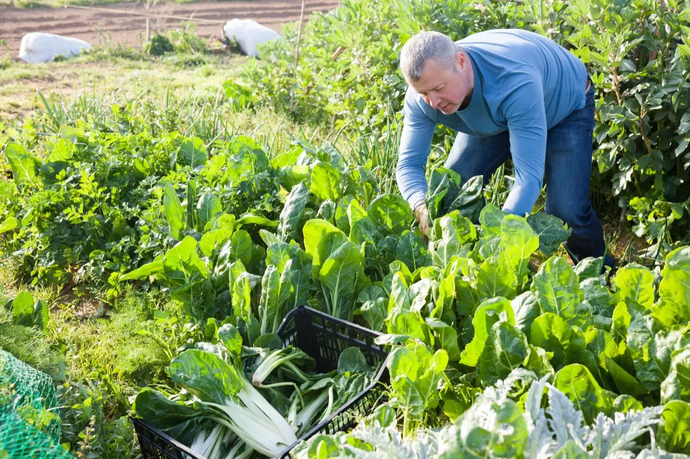 Broyage & fauchage : quand intervenir dans le Gers ?