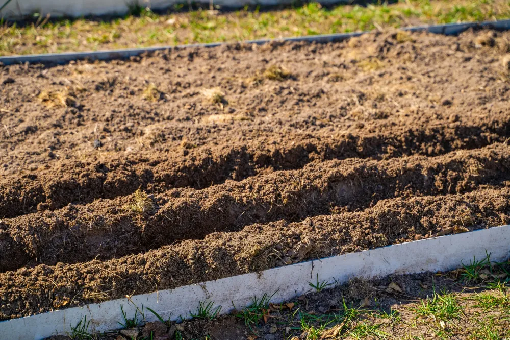 Préparation de sol & reprise de planéité : la base d’un terrain propre