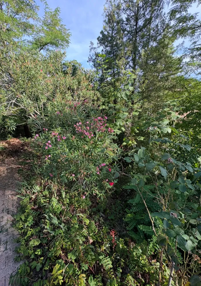 realisations-les-hautes-herbes-6