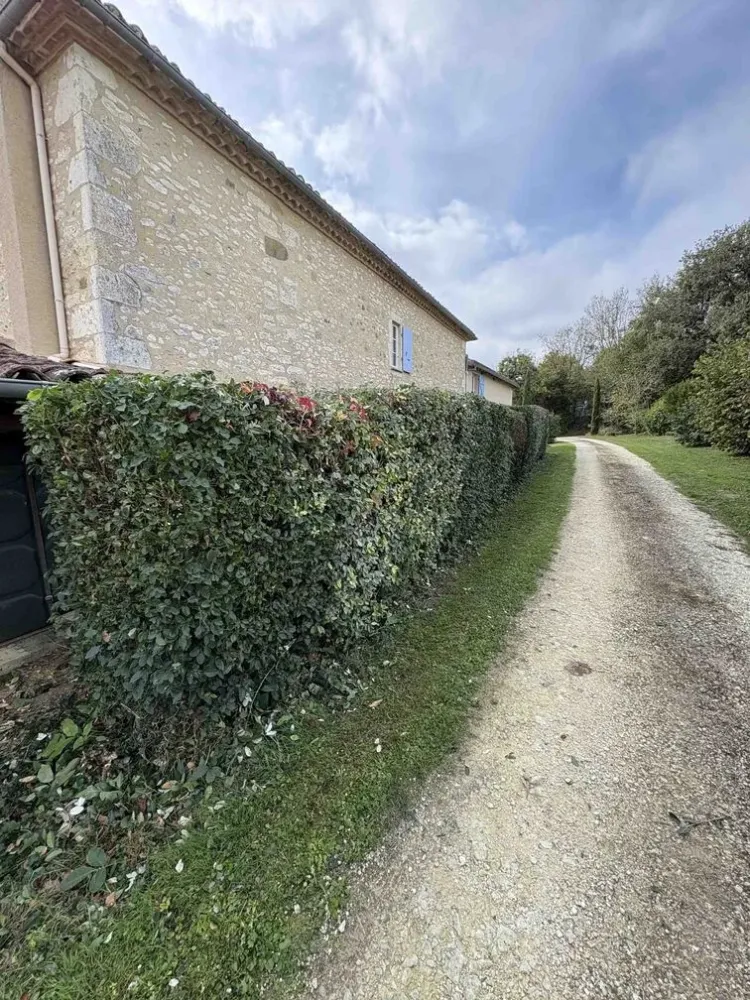 Conception, aménagement et entretien des espaces paysagers dans tout le Gers (5)webp