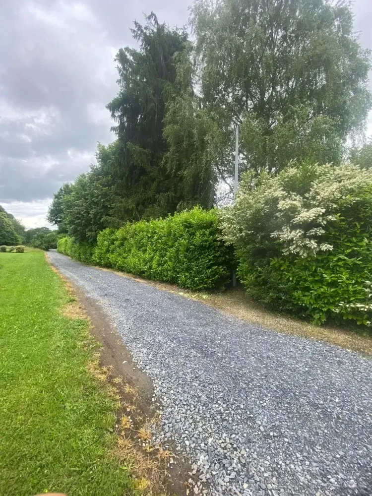 68ff33d04c9ad_images_large