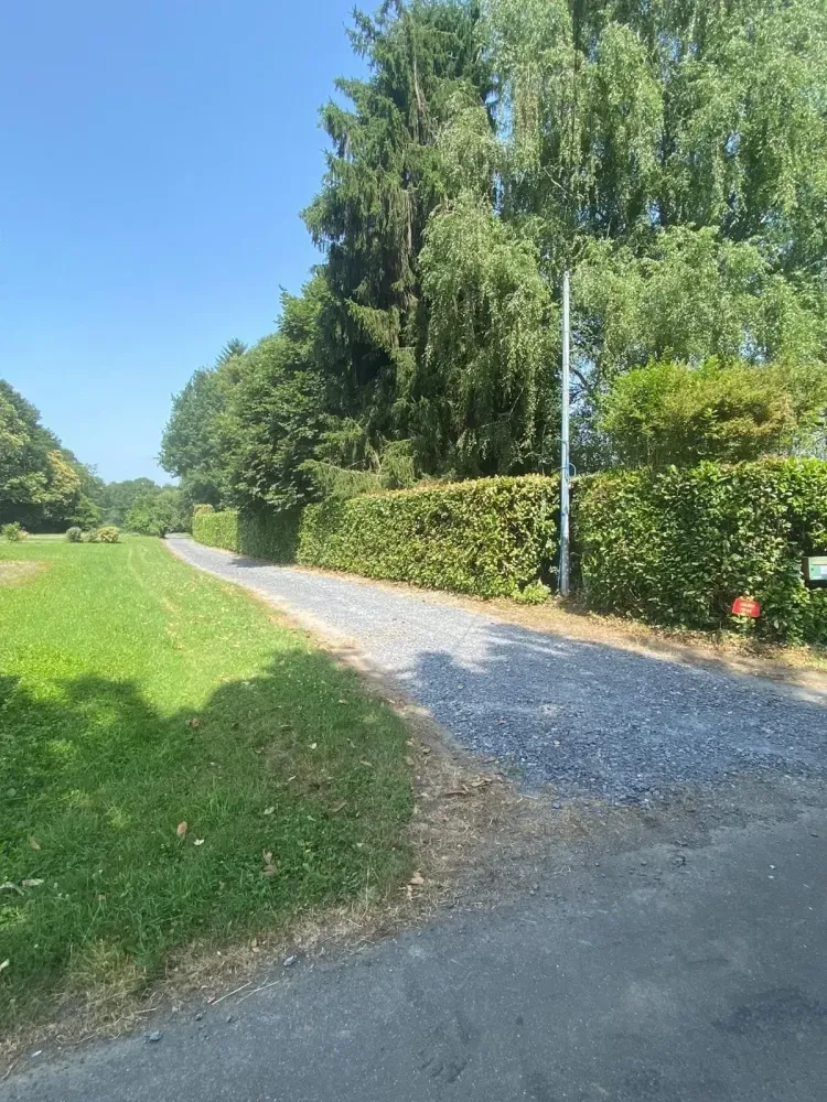 68ff33d17334f_images_large