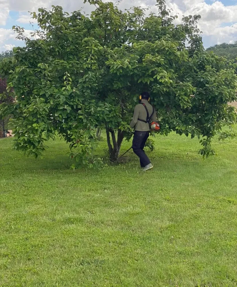 a088a81437caece37f59733a4586c03a